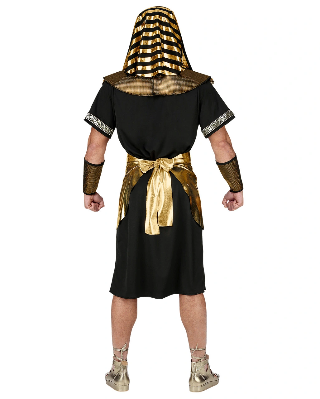 Ägyptischer Pharao Verkleidung 2 Ägyptischer Pharao Verkleidung – Bild 2