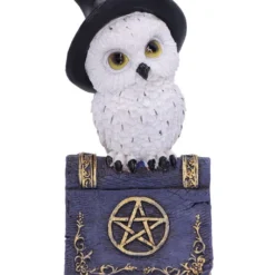 Eule Mit Pentagramm Zauberbuch 12,5cm