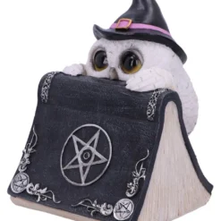 Weiße Eule Mit Zauberbuch & Pentagramm 15cm