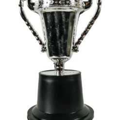 Kleiner Silberpokal